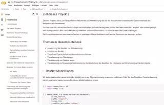 Sonstiges: D4 Jupyter Notebook: Erklärbarkeit von neuronalen Netzen am Beispiel CNN