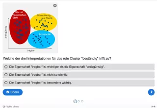 Lernspiel: C8-1 Question Set: Cluster Interpretation. Quiz zum Video