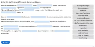 Lernspiel: C9-5 Drag the Words: Adversarial Examples. Quiz zum Video