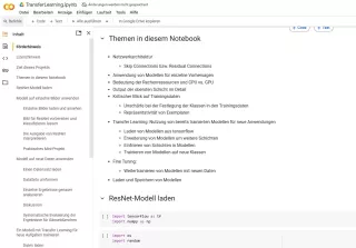 Sonstiges: F4 Jupyter Notebook: Transfer Learning