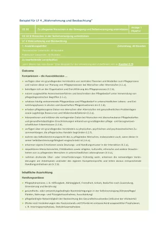 Unterrichtsplanung: Handreichung für die Pflegeausbildung am Lernort Pflegeschule | Beispiel für LF4