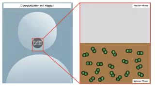 Simulation: Phasenübergang von Iod in einem Wasser/Heptan System