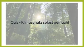 Lernspiel: Quiz - Klimaschutz selbst gemacht (kurze Version)