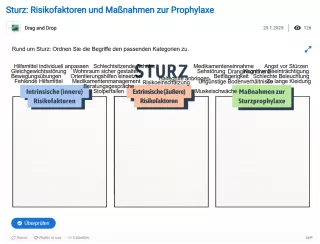 Interaktion: Sturz: Risikofaktoren und Maßnahmen zur Prophylaxe