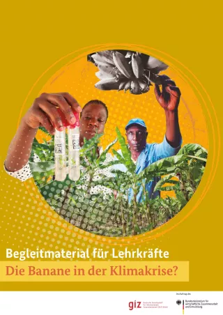 Unterrichtsplanung: Die Banane in der Klimakrise?: Begleitmaterial für Lehrkräfte