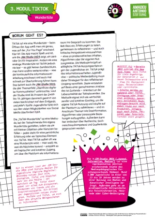 Unterrichtsplanung: Modul 3: (Des)-Informationsraum TikTok | Die Wundertüte