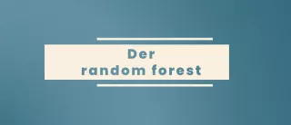 Video: Prognosemodelle: Klassifikation und Regression | 03 | Der random forest (MP4)