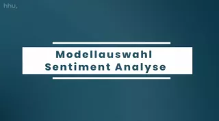 Video: Clustering: vom Sortieren bis zum Explorieren | 03 | Modellauswahl Sentiment Analyse (MP4)