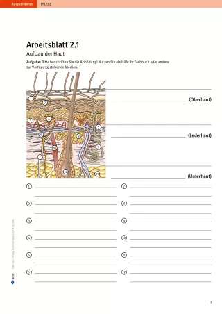 Arbeitsblatt: Take Care Haut und Hautschutz: Aufbau der Haut (Arbeitsblatt 2.1)