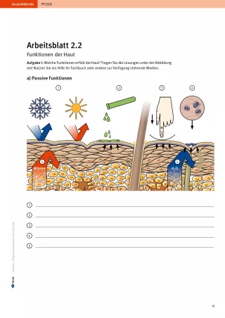 Arbeitsblatt: Take Care Haut und Hautschutz: Funktionen der Haut (Arbeitsblatt 2.2)