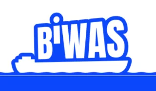 Webseite: BIWAS: Anleitung für Lehrkräfte