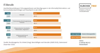 Infografik: IT-Berufe | Abbildung 5 | Geschlechterverteilung in Führungspositionen nach Berufsgruppen
