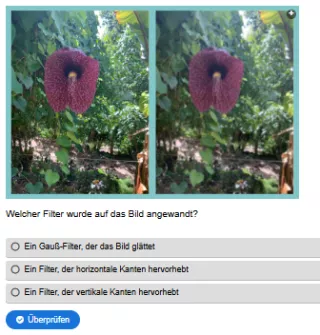 Interaktion: Woche 13 | Theorie | Bildverarbeitung (Aufgabe 2)