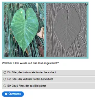 Interaktion: Woche 13 | Theorie | Bildverarbeitung (Aufgabe 3)