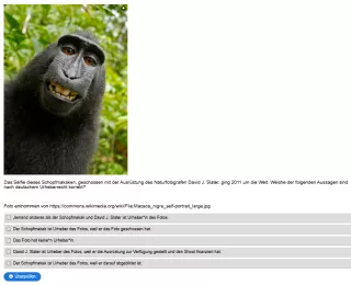 Interaktion: Datenbeschaffung und -aufbereitung | 02 | Urheberrecht und Datenschutzgrundverordnung (Aufgabe 1)