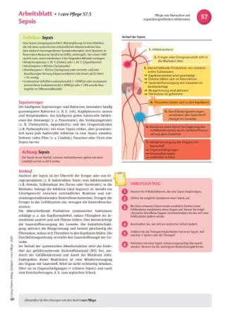 Arbeitsblatt: I care Pflege | Pflege bei speziellen Erkrankungen | Sepsis (Arbeitsblatt)