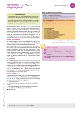 Arbeitsblatt: I care Pflege | Grundlagen des Pflegeberufs | Pflegediagnosen (Arbeitsblatt)