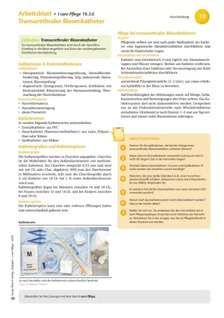 Arbeitsblatt: I care Pflege | Pflegebasismaßnahmen | Transurethraler Blasenkatheter (Arbeitsblatt)
