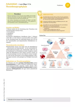 Arbeitsblatt: I care Pflege | Pflegebasismaßnahmen | Thromboseprophylaxe (Arbeitsblatt)