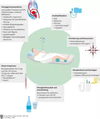 Bild: I care Pflege | Unterschiedliche Pflegesettings | Patientenüberwachung nach einer OP (Grafik)