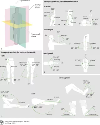 Bild: I care Krankheitslehre | Spezielle Krankheitslehre | Neutral-Null-Methode (Grafik)