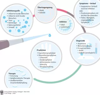 Bild: I care Krankheitslehre | Grundlagen | Überblick über Infektion (Grafik)
