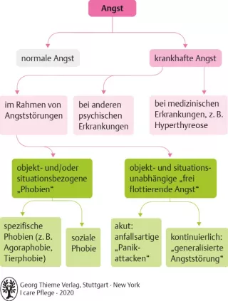 Bild: I care Krankheitslehre | Spezielle Krankheitslehre | Angststörung (Grafik)