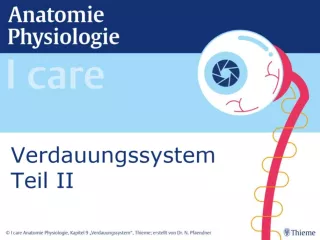 Presentation: I Care Anatomie | Organsysteme | Verdauungssystem Teil II (Präsentation)