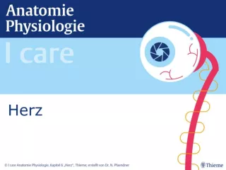 Presentation: I Care Anatomie | Organsysteme | Herz (Präsentation)