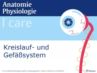 Presentation: I Care Anatomie | Organsysteme | Kreislauf- und Gefäßsystem (Präsentation)