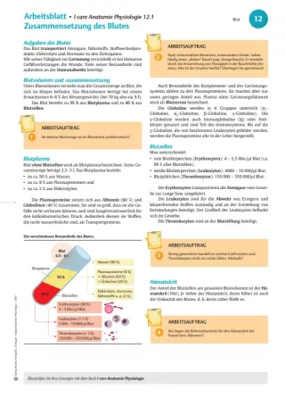 Arbeitsblatt: I Care Anatomie | Organsysteme | Zusammensetzung Blut (Arbeitsblatt)
