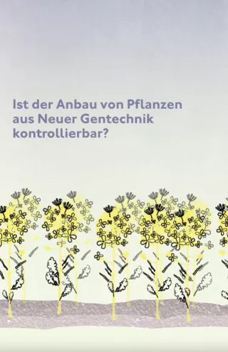Video: Ist der Anbau von Pflanzen aus Neuer Gentechnik kontrollierbar? Das Beispiel Raps