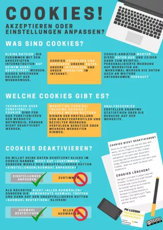 Merkblatt: Cookies! Akzeptieren oder Einstellungen anpassen?