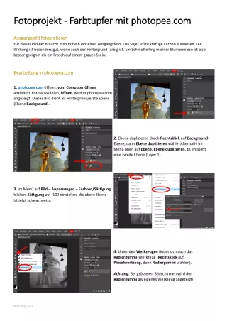 Anleitung: Fotoprojekt - Farbtupfer mit photopea.com