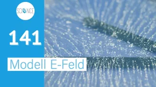 Video: Spitzenentladung - Modell elektrisches Feld