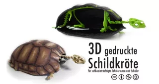 Entdeckendes: Schildkröte (zip-Datei)