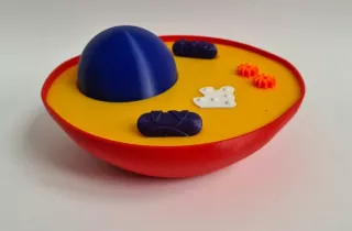 Entdeckendes: Animal Cell that splits open (zip-Datei)