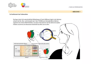 Bild: Lacke, Farben und Druckfarben - Was das Leben bunt macht: Abbildungen (ppt)