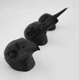 Entdeckendes: beaks of birds (zip-Datei)