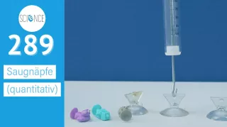 Video: Saugnäpfe quantitativ