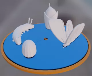 Entdeckendes: butterfly life cycle (zip-Datei)