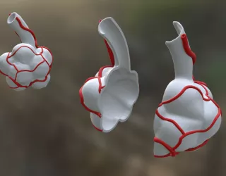 Entdeckendes: Lung Air Sacs (zip-Datei)