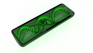 Entdeckendes: Spirogyra (zip-Datei)