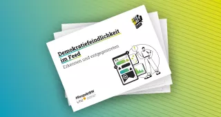 Unterrichtsplanung: Demokratiefeindlichkeit im Feed Erkennen und entgegentreten
