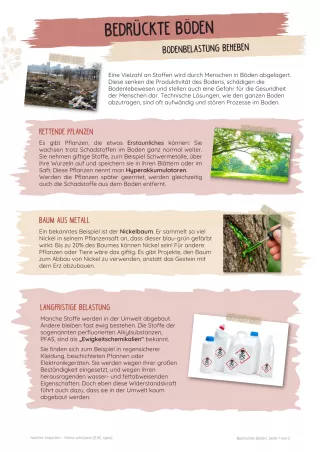 Unterrichtsbaustein: Bedrückte Böden | Bodenbelastung beheben