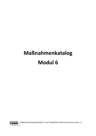 Flyer: Maßnahmenkatalog Modul 6