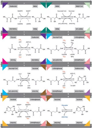 Unterrichtsbaustein: Kärtchenset „Strukturformeln“