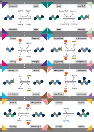 Unterrichtsbaustein: Kärtchenset „Kugel-Darstellung“