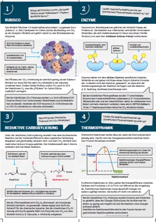 Unterrichtsbaustein: Infokarten Kärtchenset