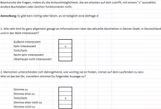 Unterrichtsbaustein: Welcher Nachrichtentyp bist du? | Fragebogen für Lernende (Excel)